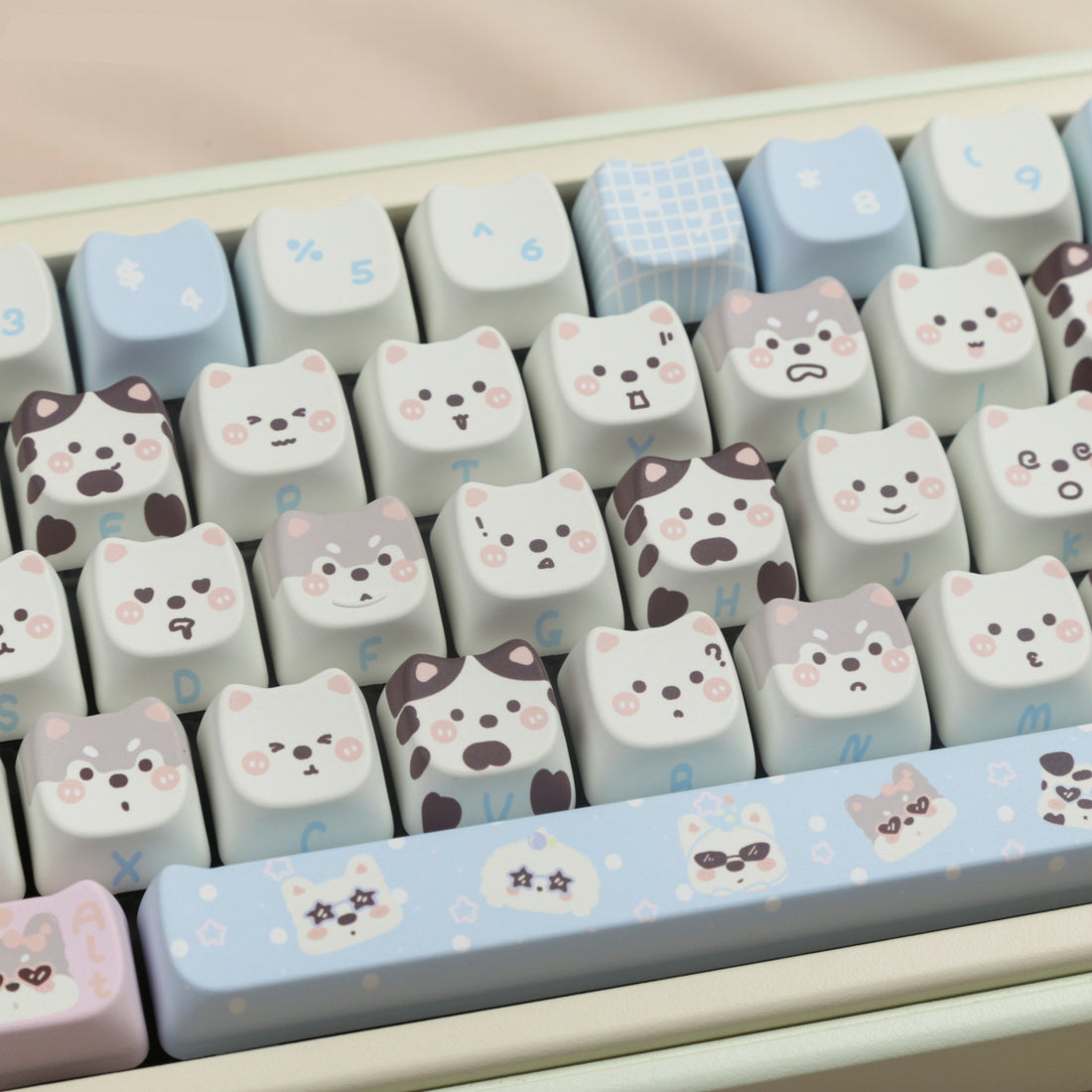 PBT Sublimation Key Cap For Keyboards